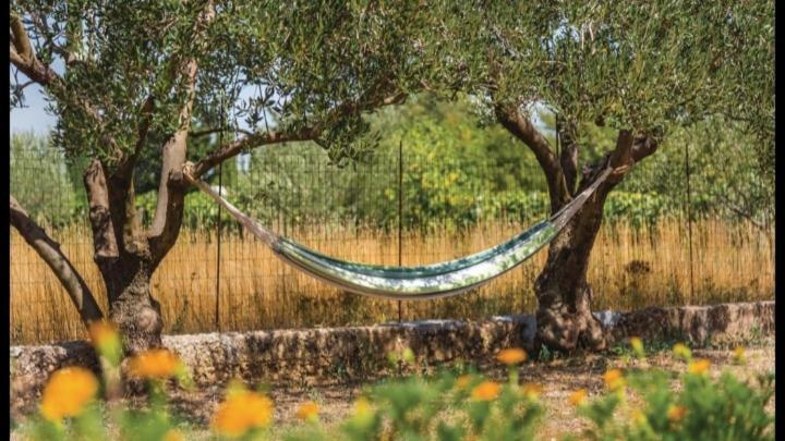 SiritovciOlive Tree House With Jacuzzi, Wifi And 40M2 Pool别墅 外观 照片